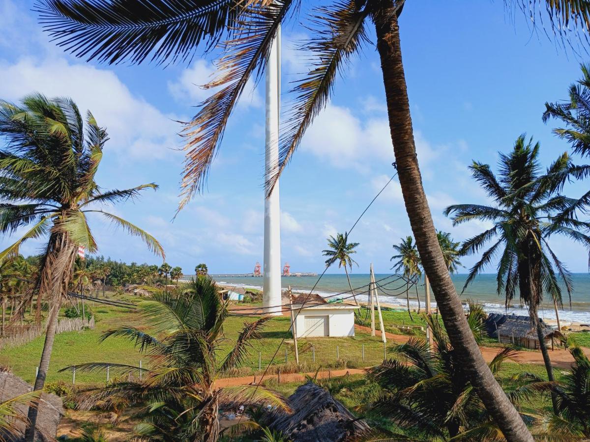 Dolphin Village golden sand beachfront and palm tree canopy in Kalpitiya