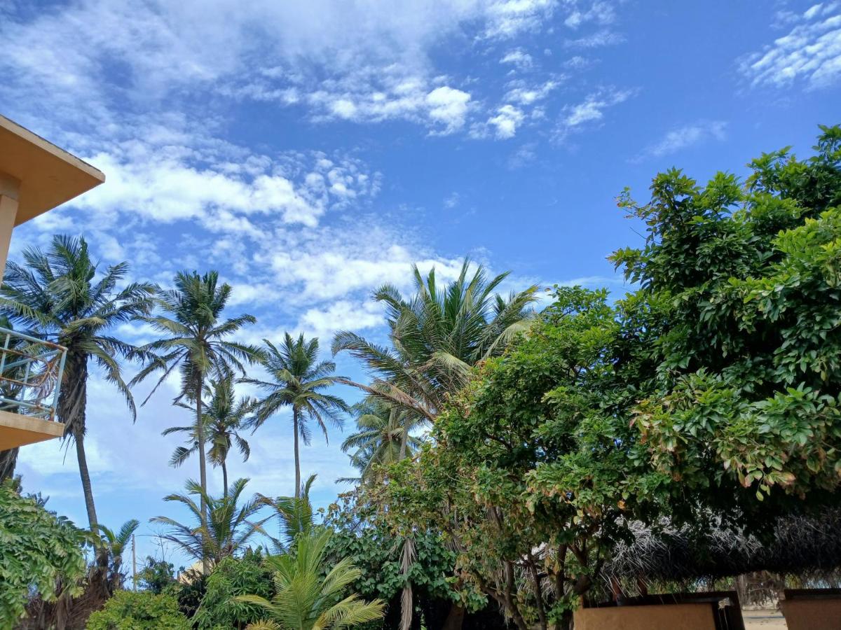 Resort tropical coconut palm groves against clear Kalpitiya blue sky