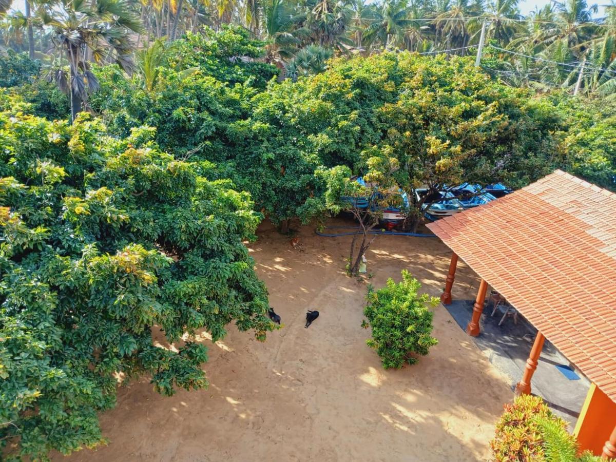 Overhead garden perspective and beach sanctuary grounds at Dolphin Village